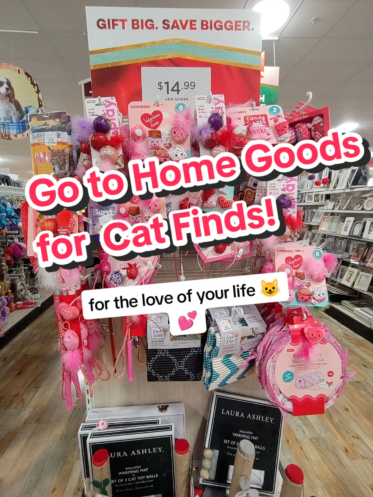 did you know Home Goods has seasonal cat stuff?? #ValentinesDay #coquette #pink #girlietok #girliesonly #pinktok #catlover #homegoodsfinds 