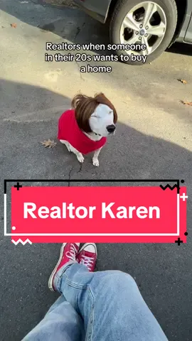 (Some) realtors #realtors #realtoroftiktok #karenbark #karenbarkrealty #realestateagent #realtorhumor 