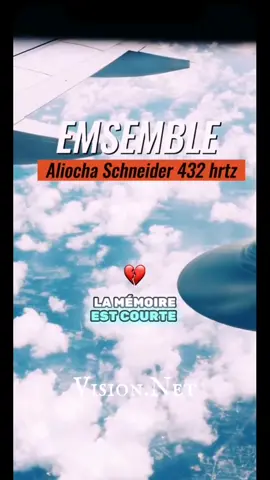 Aliocha Schneider-Ensemble #432hrz #ensemble #aliochaschneider  💫Vision.Net : pour une vision net !Les meilleurs talents en un clic #speedsongs #parole #music #lyrics #dance  #trending #viral  #subscribe #support #comment 