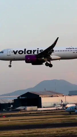 Volaris A320NEO N532VL landing RWY 05L MMMX #a320neo #aviation #volaris #volariscrew #airplane #spotting #flight #planes #planespotting #avgeek #instaplane #planespotters #airport #aviationlovers #aviationphotography  #airbus #airport #landing #takeoff #fly #aircraft #airplane #volaris #mmmx #aicm #airbuslovers #a320 #a320family #a320lovers #a320n #airbus320 #avion #aviones 