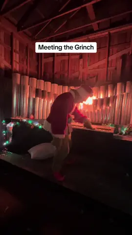 The Grinch is a fun time. #youreameanonemrgrinch #grinch #christmas 