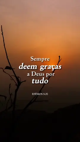 Gratidão eterna ao Nosso Salvador Jesus!