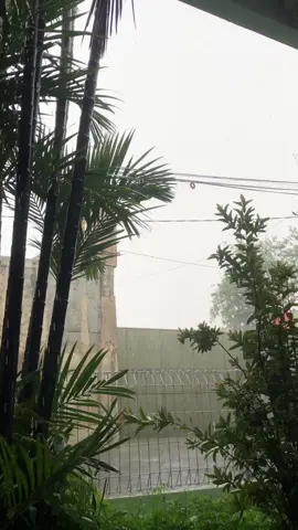 ‎الآن يبدو الأمر أفضل بكثير ، كان يجب أن أدرك منذ البداية أنه بغض النظر عن مدى شدة المطر ، فإنه سيتوقف في الوقت المناسب “Sekarang rasanya jauh lebih baik,seharusnya aku sadar lebih awal sederas apapun hujan pasti akan reda pada waktunya.” #fypシ #quotesislam #hujan #soundarabic #fyppppppppppppppppppppppp 