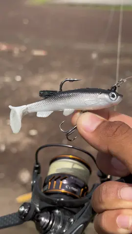 Mồi mềm cá đối giá rẻ !!! với action thu hút và câu được đa dạng loại cá #nguyenbi #docau #caucagiaitri #cauca #xuhuong 