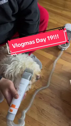 Vlogmas Day 19| The Day before my BIRTHDAY!!! #fyp #holidays2023 #christmas2023 #vlogmasday19 #dayinmylife #Vlogmas 