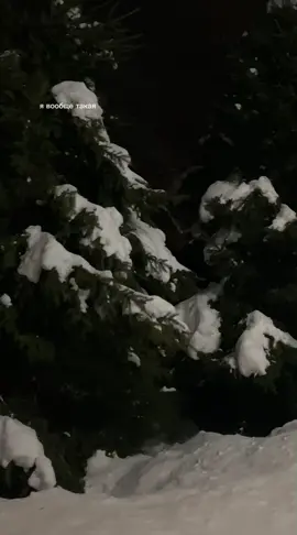 #fypシ #реанаталитвинова #ренаталитвинова❤️ #viral #рек #foryou 