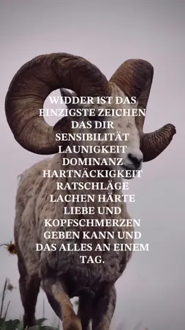 #foryoupage #bleibstark🙏 #sprüchepage #hilfreich #tiktok #tiktoknews #bleibtgesund #widder♈️ #teilenerwünscht #aries♈️ #viral #herz #stärkeralsdudenkst #nichteinfach #starkids 