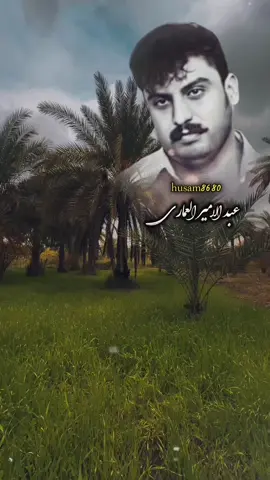 #عبد_الامير_العماري 