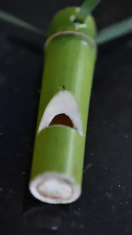 Use bamboo to make a simple whistle whistle