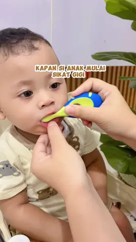 Ajak simat gigi saat pertama gigi muncul ya mam🥰 #sikatgigibayi #sikatgigianak #bayitumgi #bayitumbuhgigi 