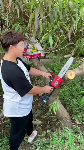 Gergaji mesin 6 inch 12 inch chainsaw #gergajikayu #gergajiportable #gergajielektrik #belanjaditiktok #belilokal 