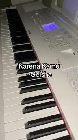 Karena Kamu - Geisha ✨ #pianocover #karenakamu #geisha #karenakamugeisha #cover #pianotutorial #indonesia #karenakamuakurelamenunggu #fyp 
