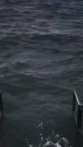 Nghe mà thấm #meme #trending #viral #funnyvideos #memehaihuoc #TikTokFashion #thanhpahm 