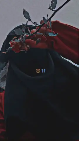 #สปีดสโลว์ #สโลว์สมูท #CapCut #وانت_اراك_تأسرني🥹🤎 