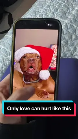 #dogsoftiktok #dogs #petlover #pets 