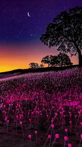 💫🌙🌙💫#scenery #beautiful #curentena #foryou #tiktok #moon #fyp #recommendations 