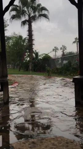 يا أغلى ما عندي . . . . #يااغلى_ماعندي_من_الي_يساويك #عبدالكريم_عبدالقادر #جدة #حب #capcut #الرياض #تركيا