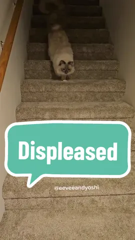 All movement throughout the house MUST be monitored by the Yosh-man