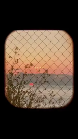 #زياد_الرحباني #محمود_درويش_ #mahmoud_darwish #فيروزيات #fayrouz #