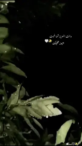 وانت العزيز شما غبت ..بعيونه مخلينك ✨🤍 #foryou #foryoupage #fyp #viral  #اكسبلور #سوريا_تركيا_العراق_السعودية_الكويت 