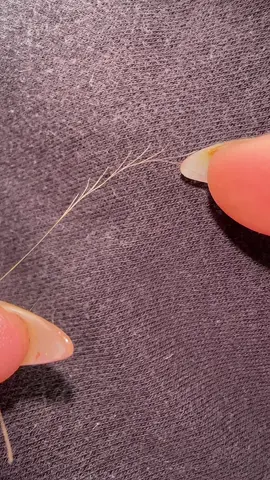 The hair peeling from the last video #fypシ #splitends #hair #haircare #satisfying #fyp #shampoo #conditioner #haircut #peeling 
