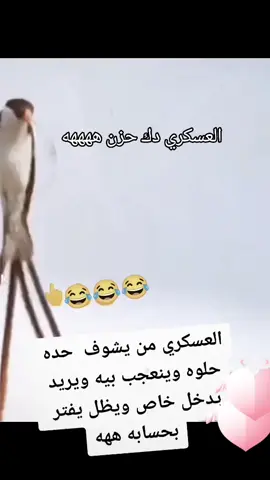 #تصنيف_عراقي #الشعب_الصيني_ماله_حل😂😂🙋🏻‍♂️ #هاشتاقات_تيك_توك_العرب #EkspresikanDenganCapCut #تحشيش_عراقي_للضحك #نكت_مضحكة 