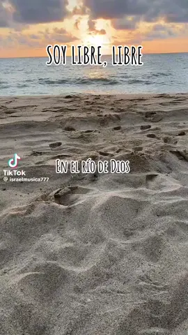 Yo danzo en el río En el río de Dios Ríos de vida están brotando en mi interior Fuente inagotable que viene del cielo fluye aquí Es el río del Señor que nace de su corazón Nunca se secará y ésta ciudad se alegrará Hay vida en el río de Dios Hay gozo en el río de Dios Soy libre, libre, el río de Dios está aquí Juan 7:38 El que cree en mí, como ha dicho la Escritura: ``De lo más profundo de su ser brotarán ríos de agua viva.