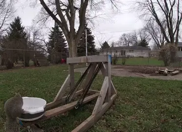 Squirrel 🐿️ Launching 🚀 