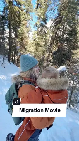 I’m so excited about the new Migration movie! #Dawn_Partner. As someone who takes my kids hiking often, making sure they care about wildlife is so important to me. Dawn has been trusted for 45 years to safely and effectively wash the delicate feathers of birds. They are partnering with Illumination’s Migration movie to help raise a new generation to care for wildlife. Make sure to see the movie on December 22! #Dawn #MigrationMovie #hikingwithkids #momlife