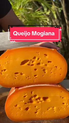 Conheça o Queijo Mogiana: um verdadeiro tesouro da Fazenda Atalaia!  Com 90 dias de maturação e coloração alaranjada pelo corante natural de urucum, é aromático, levemente cremoso e tem um toque ácido marcante. Ideal para racletes e lanches artesanais. 🧀✨  Encomende já, detalhes no comentário fixado! #QueijoMogiana #Fusqueijão #Queijo #Queijaria #Mogiana 