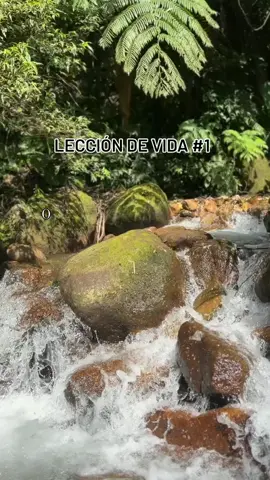 Aquí está la verdad... 🔥 La vida es un juego y necesitas saber cómo jugarlo. La vida es demasiado corta para desperdiciarla lidiando con los mismos problemas una y otra vez. Lo que necesite ser sanado, necesita ser sanado. Y sin importar cómo haya sucedido, es tu responsabilidad sanar y superarlo. Cuanto antes te hagas responsable de tu propia curación, más pronto podrás superar lo que te causa dolor y mejorar tu salud mental. Es por eso que el trabajo que haremos juntos a través de la próxima aplicación es tan importante. No puedo esperar para escuchar acerca de tus avances y progresos. : ) . . . . . . . . . . #bienestarmejental #pazinterior #viajedecuidadopersonal #terapiaholistica #sanidaddemental #hipnoterapia #sanar #mentesana #apoyoemocional #terapia #terapiadetrauma #bienestaremocional #supervivientesdetrauma #recuperaciondetrauma #superaciondelptsd #sanaciondetrauma #traumainfantil #curacion #cuidadopersonal 