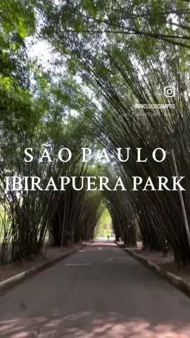 A hidden gem within the city! So much greenery🌿🌴🍃 This park was the best place to explore- You can rent bikes and carriages to ride through or walk like we did! Free entry👏🏼 10/10 recommend stopping to enjoy an açaí bowl @madureirasucos 😍 📍Parque IBIRAPUERA, São Paulo #sãopaulo #parqueibirapuera #ibirapuerapark #brasil #travel #itinerary #bucketlist #vacation #points #pointsandmiles 