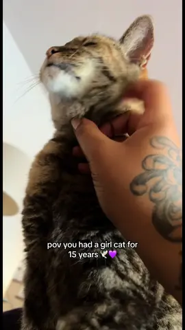 i will not tolerate girl cat slander