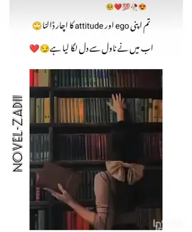 #novel_zadi🦋 #novelisticgirl📚 #turkey🇹🇷 #novelslover♥️ #fyp#foryoupageofficiall #trendingvideo