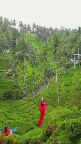 Are you ready to embark on this unforgettable journey? Step into the world of thrills and elegance - the Super Extreme Swing awaits! Let's take the plunge and paint the skies scarlet! Open Daily : 7AM - 7PM Reservation : +62 81227842083 #BreathtakingParadise #IndonesianHeritage #NaturalBeauty #FamilyFun #NatureLovers #MagicMoments #WingsOfAdventure #NatureWalk #Recharge #FindYourZen #swingubud #alasharumbali #ubud #explorebali #bali #ubudtour #ubudrestaurant #exploreubud #ubudlife #cretyalite #cretyaubud #alasharumbali #alasanadventures #cretyasunset 