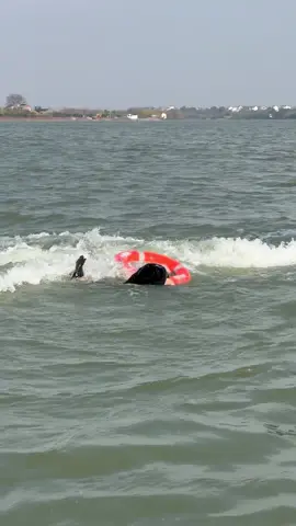 Electric surfboards ，Make the ordinary day vivid #surfing #rushwave #jetsurfboard# electric surfboard