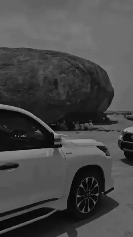 #الشعب_الصيني_ماله_حل