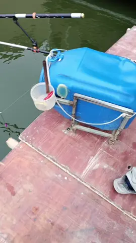 Khi Bạn Nghèo Nhưng Vẫn Muốn Có Thùng Câu Đài Cho Bằng Ae Bạn Bè 🤣🤣🤣 #vietdocau #câucá #caudai #cauca #fishing #docau #câu_đài #thungcaudai 