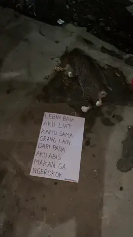 sesakit sakitnya di ghosting, lebih sakit lagi sehabis makan bengang bengong gaada rokok. #xyzbca #foryou #bersuarakan 