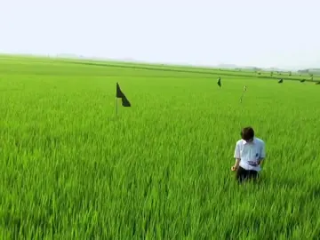 Is that what you want?  #allaboutlilychouchou #deftones #ether 