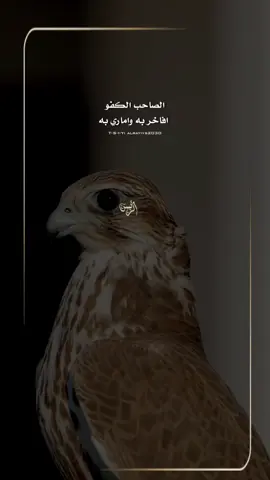 الصاحب الكفو  افاخر به واماري به ‏نجزاه بالطيب  ما نجزاه بالصده  ‏اللي يبادر بفعل  الطيب من طيبة