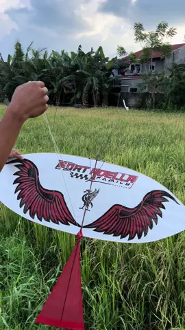 #layangsumpusolok #layang #layangekorpanjang #layangsumbar #xyzbca #fyp 