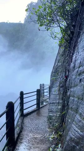 වැස්ස කාලේට දිය ඇලි ලස්සනයිලු ♥️🇱🇰
