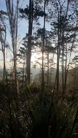 Chọn tử tế giữa muôn vàn những điều tồi tệ xảy tới đòi hỏi một cái tâm vững chãi và một góc nhìn rộng mở. #mangden 