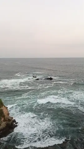 bunga terakhir ?#galaubrutal #sadvibes #fyp#pantaivibes 