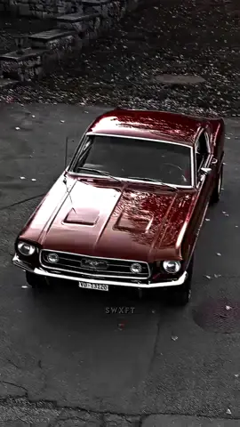 Gentleman🍷🗿 | 🎥@MotorBikeMedia  | #4k #quality #car #edit #teamfx⚜️ #swxft #ae #aftereffects #jdm #🔥#viral #fyp #mustang #gt500 #ford #gt #sound 