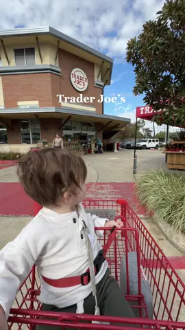 Trader Joe’s during the holidays>>> #traderjoes #traderjoesfinds #traderjoesholiday #traderjoesrun #traderjoeslist #twinmom 