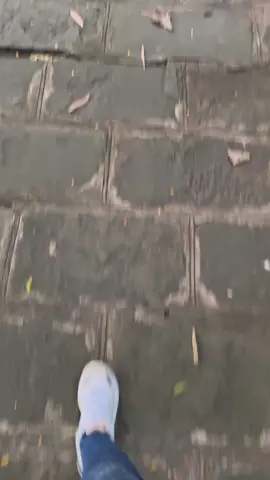 Đường đi bộ lên chùa cổ Bái Đính - Ninh Bình #baidinh #baidinhpagoda #baidinhninhbinh 