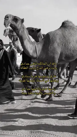 #ترندات_تيك_توك_جديدة فارق نسنوسها هزعأ سنادي #هشتاقات_تيك_توك #اكسبلور_تيك_توك #الجفراني #الجفراني_ابن_هضبان🔥🔥🔥🔥 #الحاكمه🥇 #الحاكمه_حنس #الايك_والفولو_والاكسلبور_ #عتبان #عتيبه_الهيلا_511 #تيك_توك_السعودية #fyp ء##من_الذود_افلح_من_ذكر_الله #الذود_عطايا_الله🥇❤️ #capcutvelocityeditshamidkhan #روق_برقا_عتيبه 
