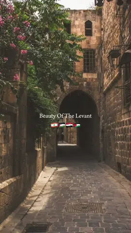 belad al sham/ olive oil girlie🤍   #levant #بلاد الشام #mena #CapCut #explore #fyp 